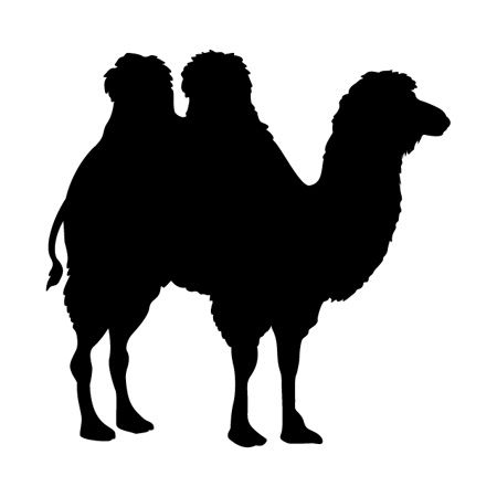 Picture of Two Humped Camel Iron on Transfer
